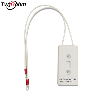 BKG 80W水泥電阻器
